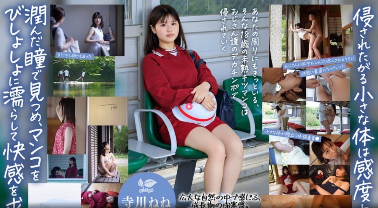 b站的投币有什么用メイリン モデルコレクション メ
